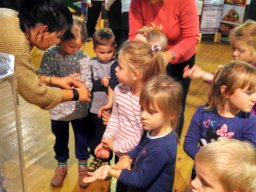 Kisállat kiállításon